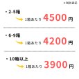 画像2: 【10箱以上まとめ買い】ユニコバンN 10本×10シート入 (2)