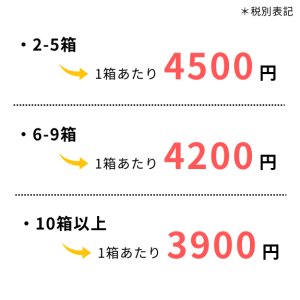 画像2: 【10箱以上まとめ買い】ユニコバンN 10本×10シート入